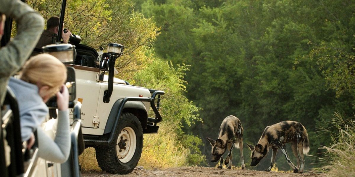 Morukuru game drive