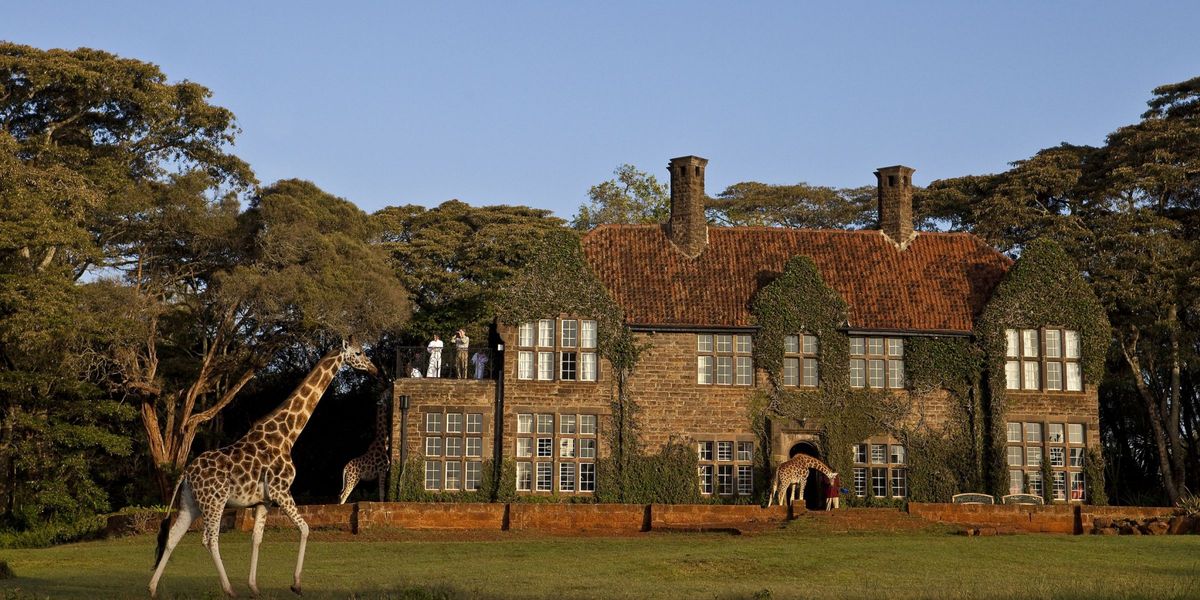 The usual day at Giraffe Manor, Nairobi, Kenya