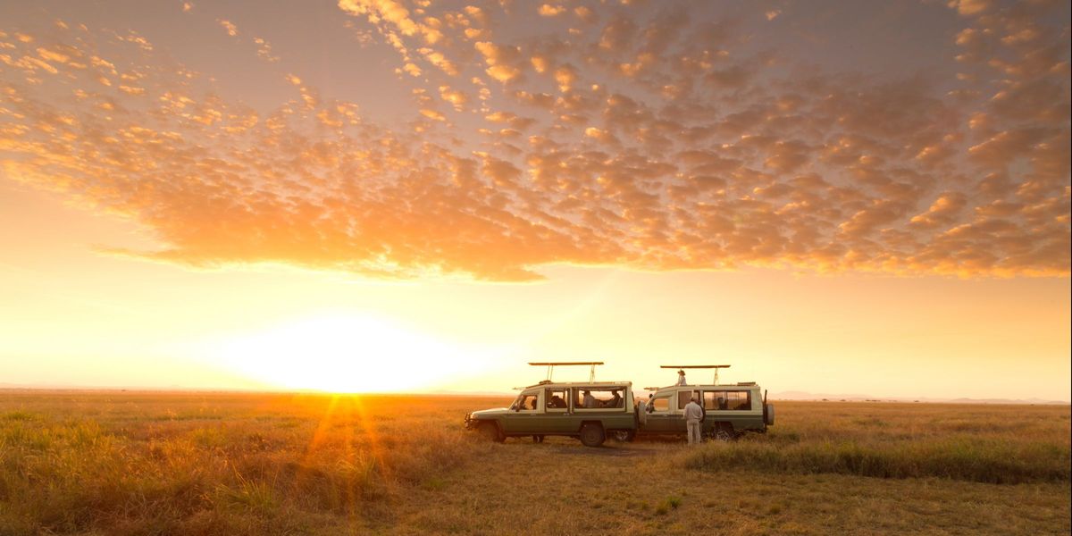 Serengeti Safari Camp - Drive