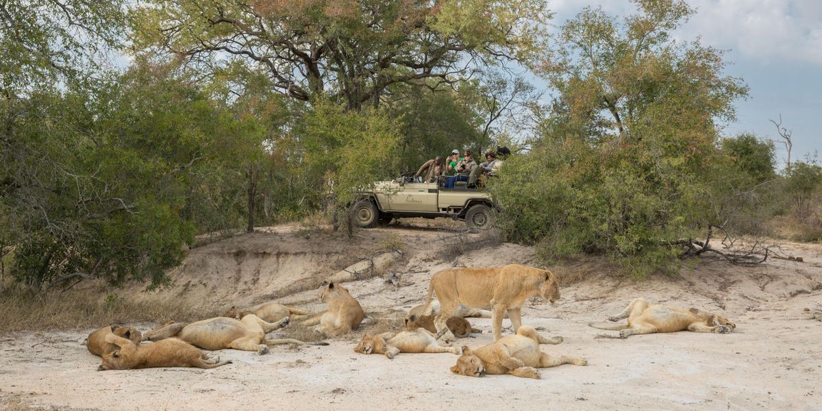 Arathusa Safari Lodge, Sabi Sands Game Reserve, South Africa