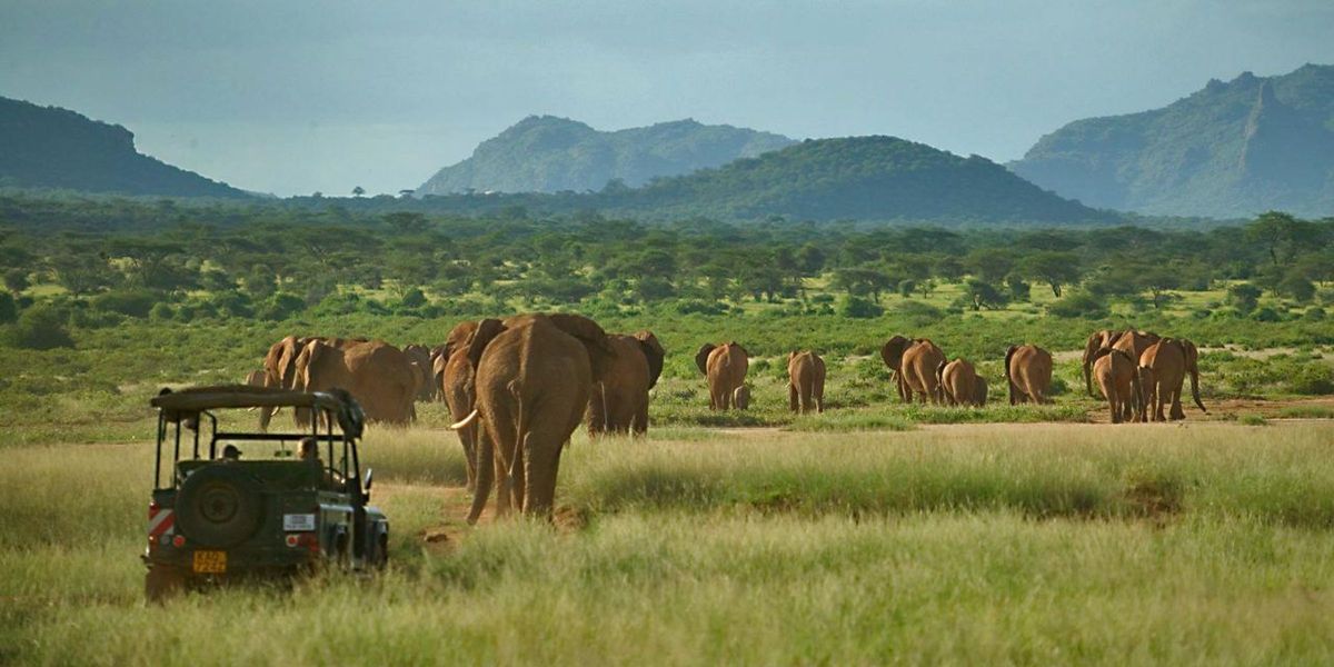 Game drive at Elephant Watch Camp, Samburu National Reserve, Kenya