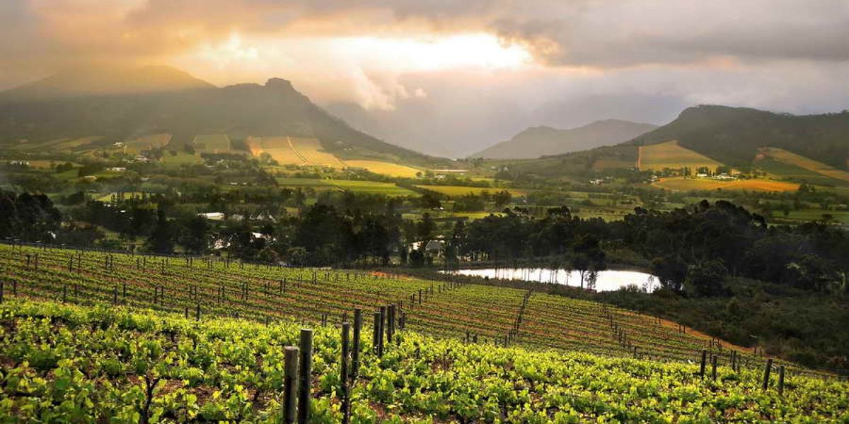 The vineyards and surrounding valley at La Petite Ferme, Franschhoek, South Africa