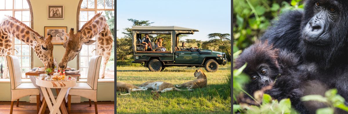 african safaris 2024